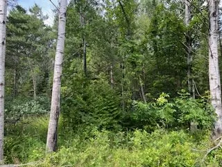 Lot 3 Idlewild Woods Dr, Sturgeon Bay, Wisconsin 54235, ,Unimproved Land,For Sale,Idlewild Woods Dr,144272