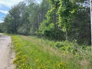 Lot 3 Idlewild Woods Dr, Sturgeon Bay, Wisconsin 54235, ,Unimproved Land,For Sale,Idlewild Woods Dr,144272