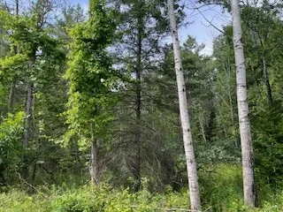 Lot 3 Idlewild Woods Dr, Sturgeon Bay, Wisconsin 54235, ,Unimproved Land,For Sale,Idlewild Woods Dr,144272