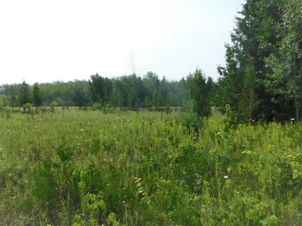 Lot 4 Hwy 42/57, Sturgeon Bay Wi 54235, ,Commercial,For Sale,Hwy 42/57,143232