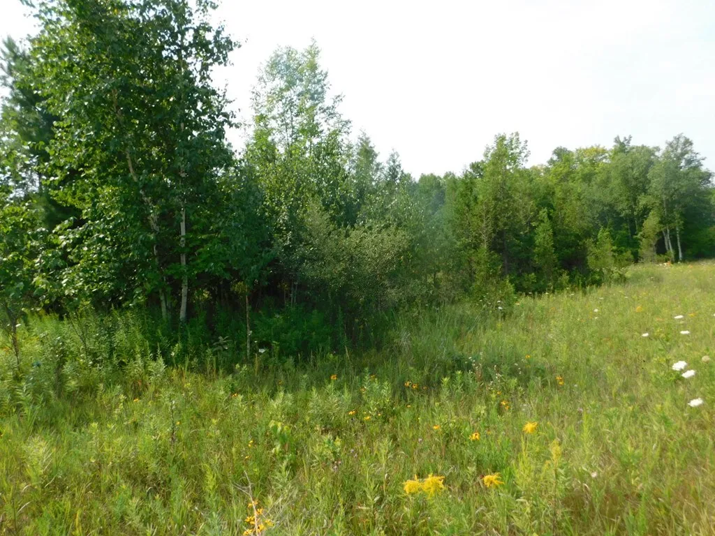Lot 4 Hwy 42/57, Sturgeon Bay Wi 54235, ,Commercial,For Sale,Hwy 42/57,143232