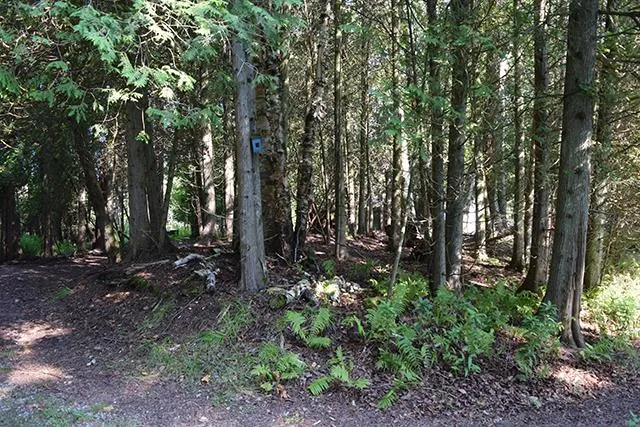 3376 Lake Forest Park Rd, Sturgeon Bay Wi 54235, 2 Bedrooms Bedrooms, ,2 BathroomsBathrooms,Waterfront-Residential,For Sale,Lake Forest Park Rd,143100