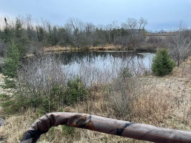 Tbd W Town Line Rd, Sturgeon Bay Wi 54235, ,Unimproved Land,For Sale,W Town Line Rd,143493