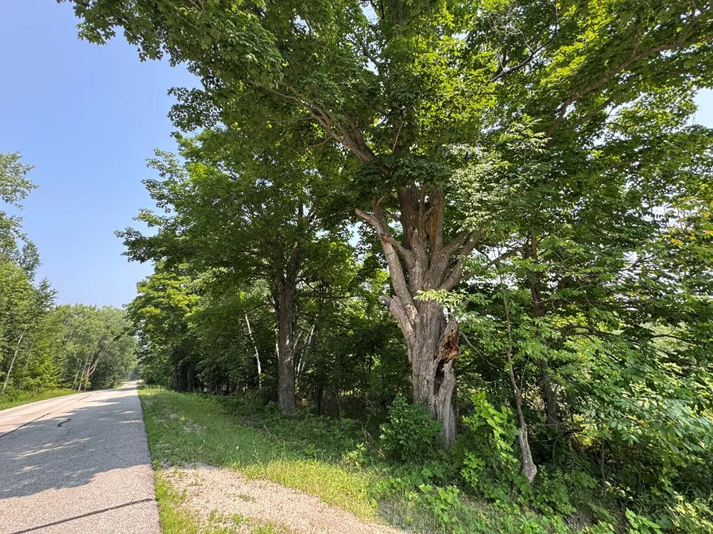Lot 1 Division Rd, Egg Harbor, Wisconsin 54209, ,Unimproved Land,For Sale,Division Rd,144360