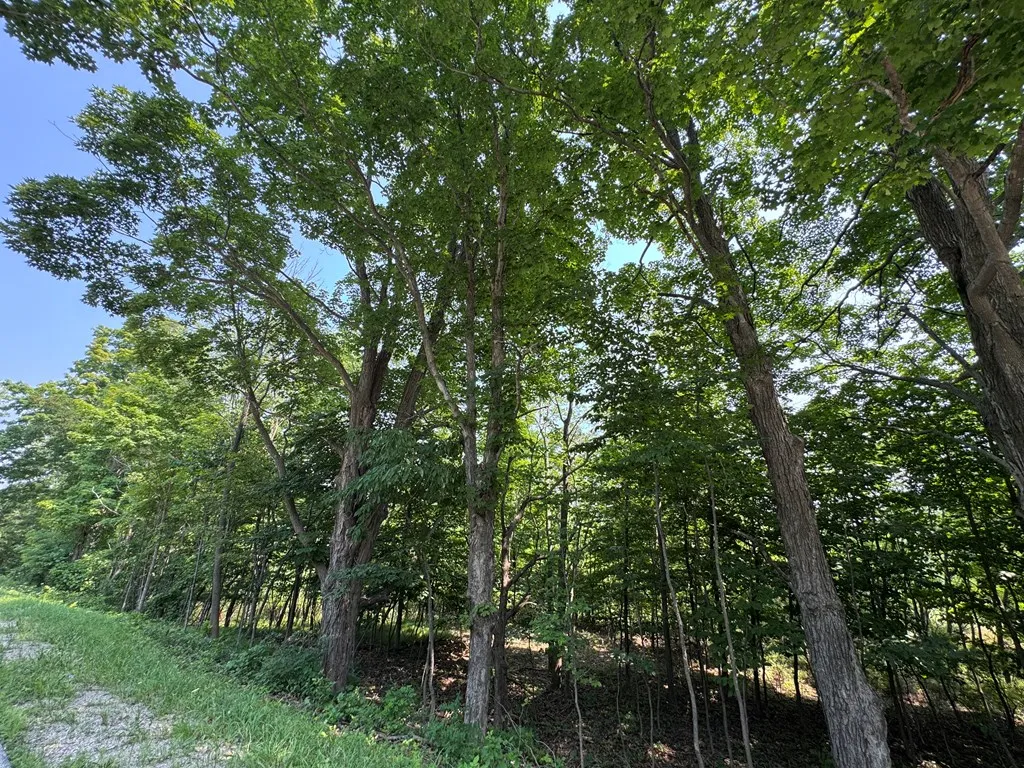 Lot 1 Division Rd, Egg Harbor, Wisconsin 54209, ,Unimproved Land,For Sale,Division Rd,144360