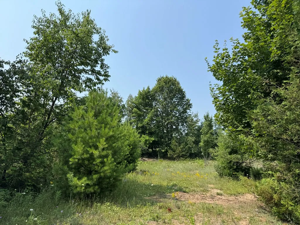 Lot 1 Division Rd, Egg Harbor, Wisconsin 54209, ,Unimproved Land,For Sale,Division Rd,144360