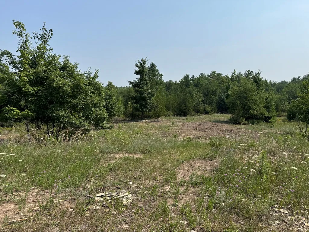 Lot 1 Division Rd, Egg Harbor, Wisconsin 54209, ,Unimproved Land,For Sale,Division Rd,144360