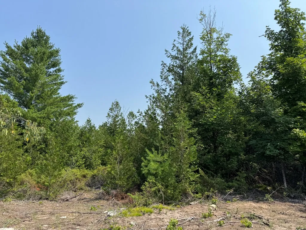 Lot 1 Division Rd, Egg Harbor, Wisconsin 54209, ,Unimproved Land,For Sale,Division Rd,144360