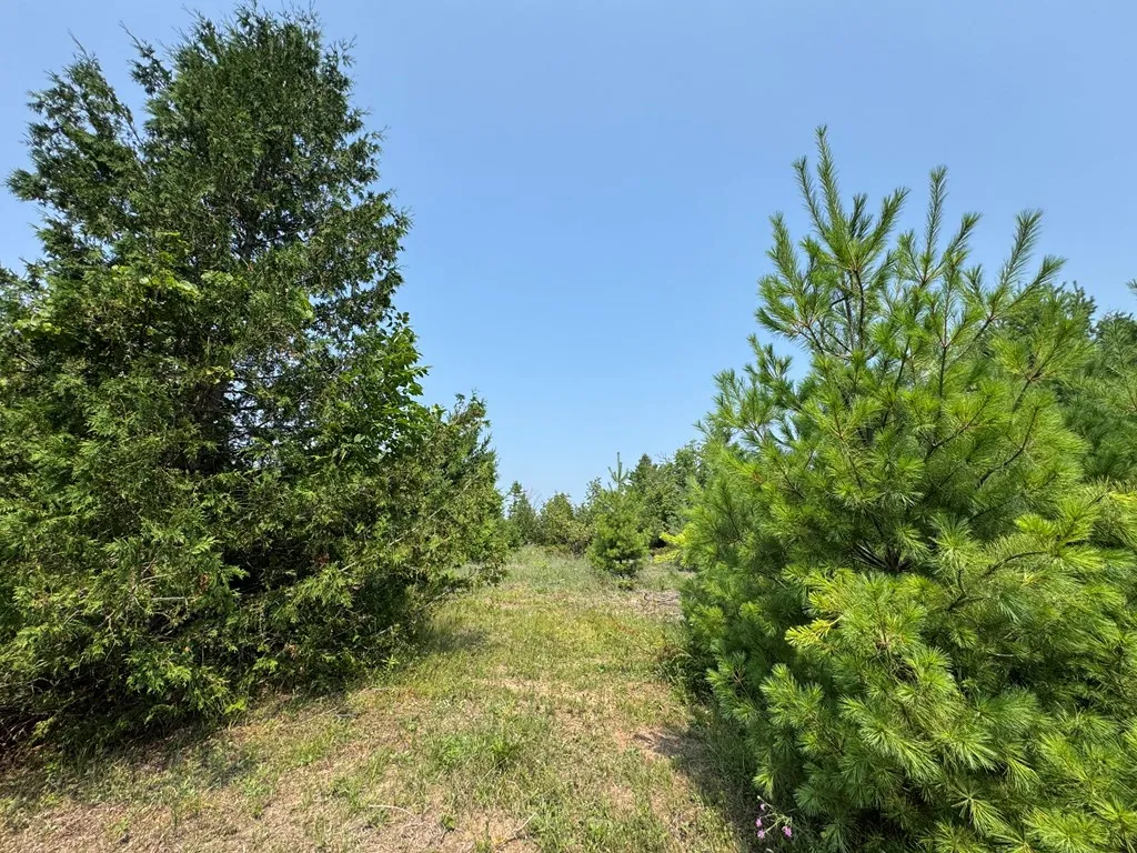 Lot 1 Division Rd, Egg Harbor, Wisconsin 54209, ,Unimproved Land,For Sale,Division Rd,144360