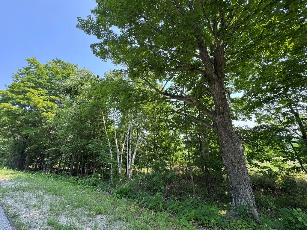 Lot 1 Division Rd, Egg Harbor, Wisconsin 54209, ,Unimproved Land,For Sale,Division Rd,144360