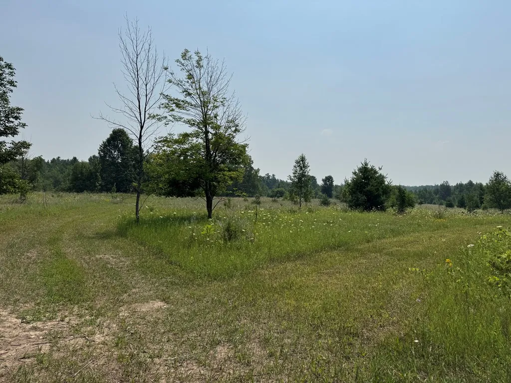 Lot 1 Division Rd, Egg Harbor, Wisconsin 54209, ,Unimproved Land,For Sale,Division Rd,144360