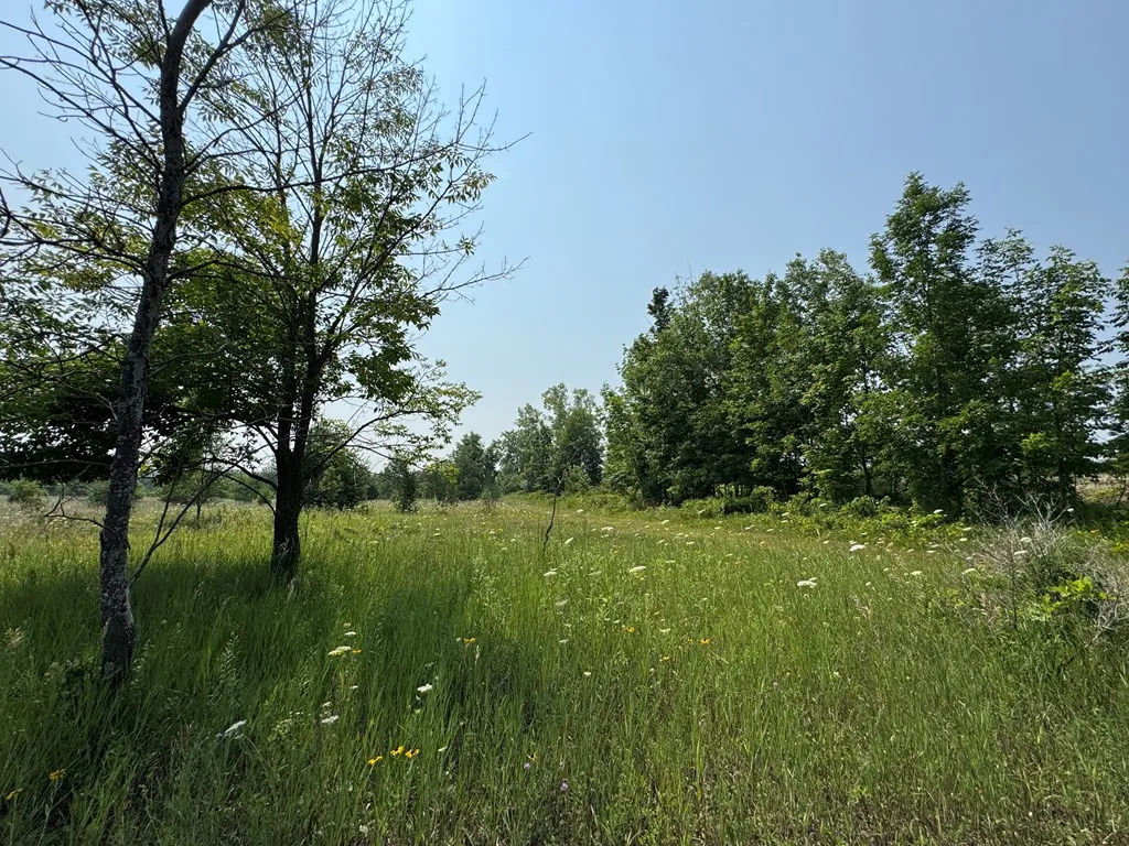 Lot 1 Division Rd, Egg Harbor, Wisconsin 54209, ,Unimproved Land,For Sale,Division Rd,144360