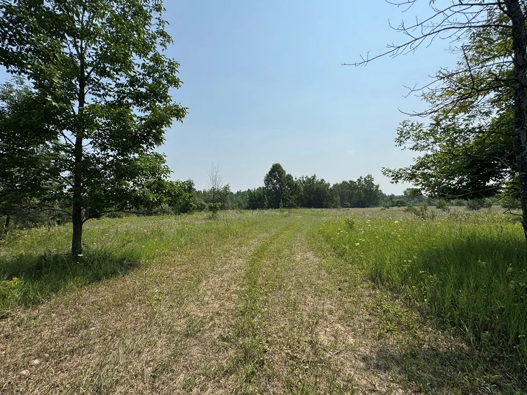 Lot 1 Division Rd, Egg Harbor, Wisconsin 54209, ,Unimproved Land,For Sale,Division Rd,144360