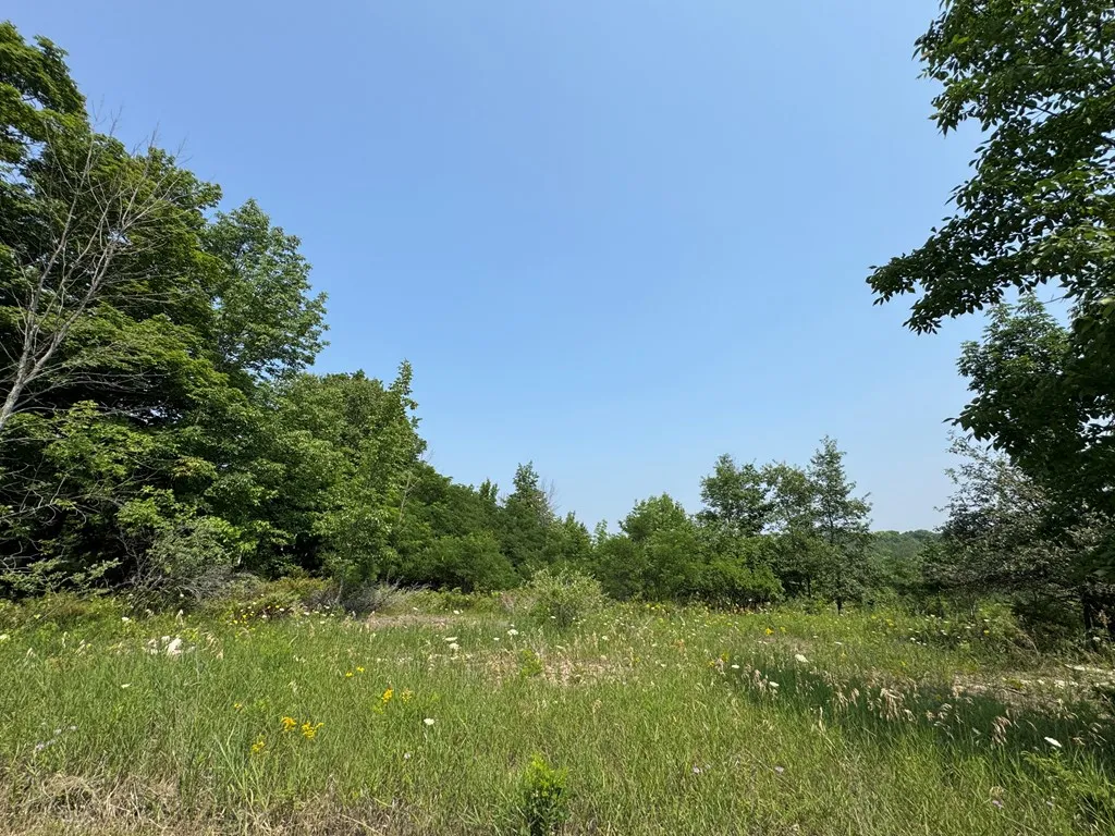 Lot 1 Division Rd, Egg Harbor, Wisconsin 54209, ,Unimproved Land,For Sale,Division Rd,144360
