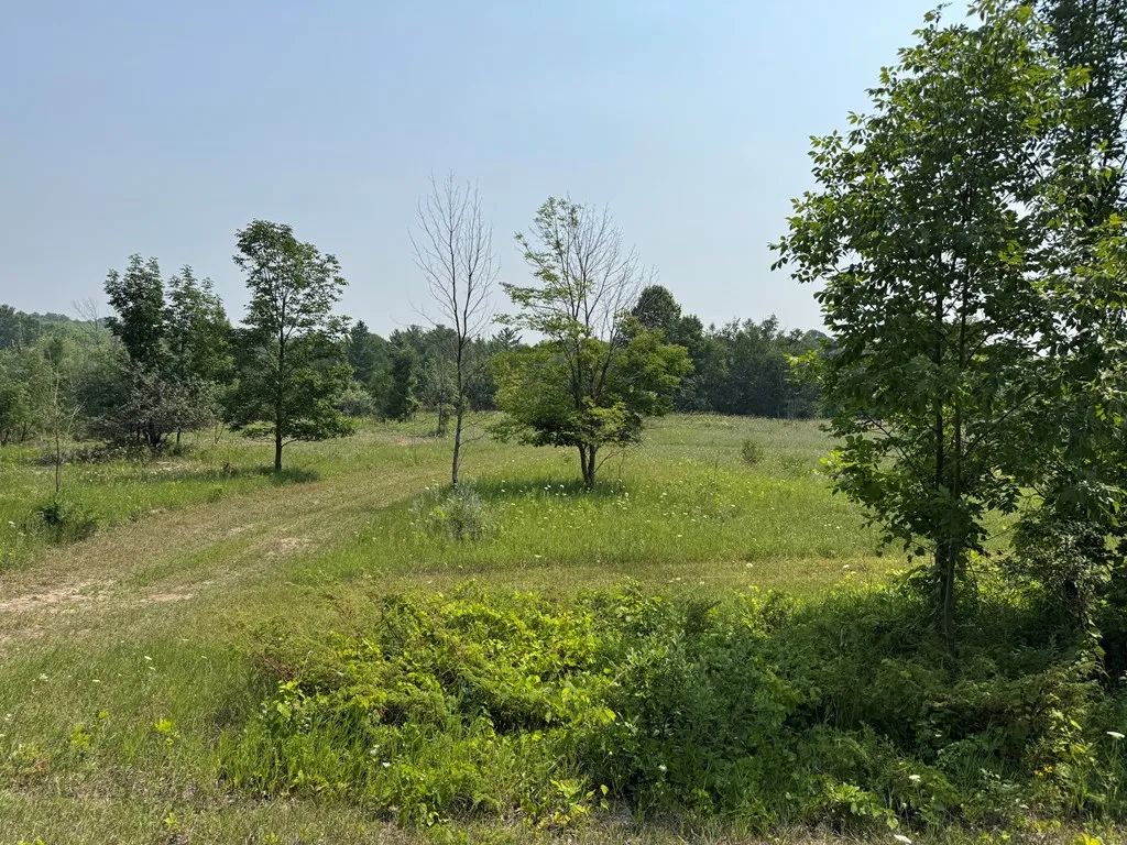 Lot 1 Division Rd, Egg Harbor, Wisconsin 54209, ,Unimproved Land,For Sale,Division Rd,144360