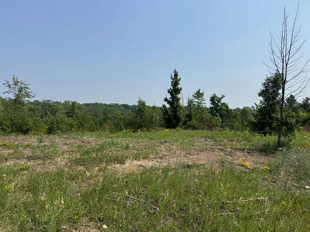 Lot 1 Division Rd, Egg Harbor, Wisconsin 54209, ,Unimproved Land,For Sale,Division Rd,144360