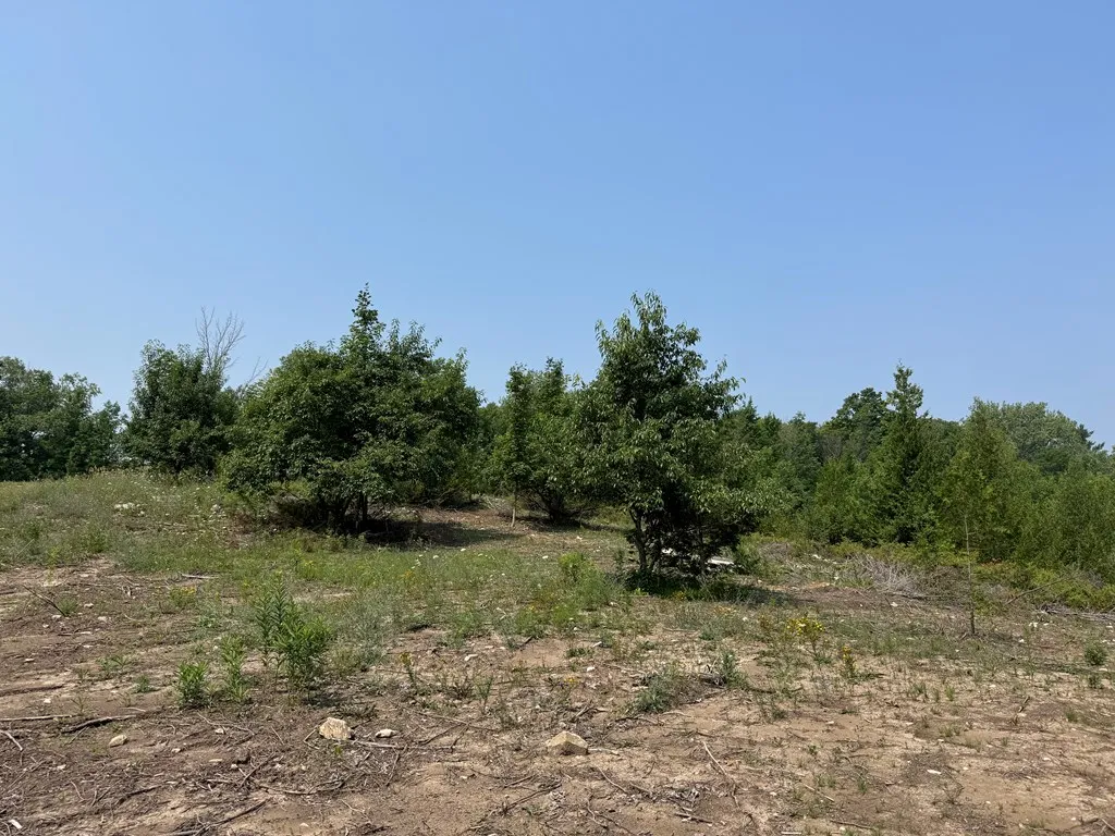 Lot 1 Division Rd, Egg Harbor, Wisconsin 54209, ,Unimproved Land,For Sale,Division Rd,144360