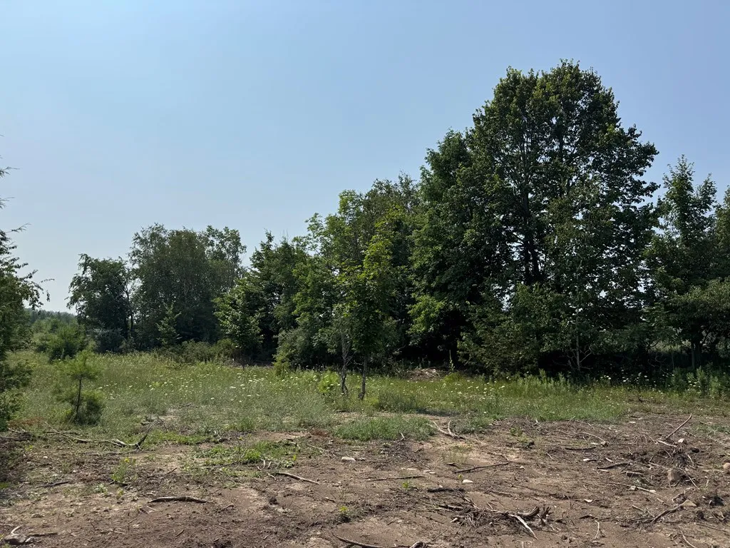 Lot 1 Division Rd, Egg Harbor, Wisconsin 54209, ,Unimproved Land,For Sale,Division Rd,144360