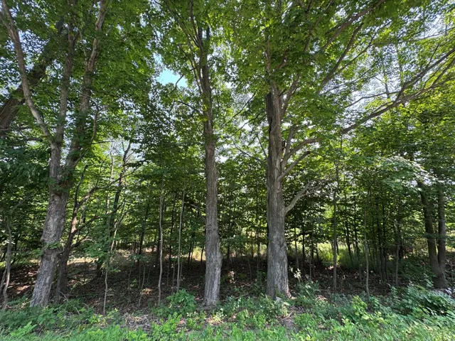 Lot 1 Division Rd, Egg Harbor, Wisconsin 54209, ,Unimproved Land,For Sale,Division Rd,144360