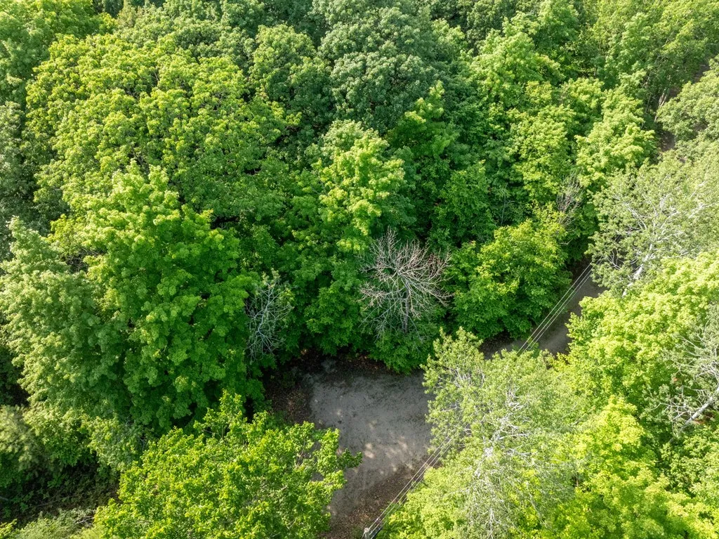 Lot 5 White Cliff Woods Ln, Fish Creek, Wisconsin 54212, ,Unimproved Land,For Sale,White Cliff Woods Ln,144175