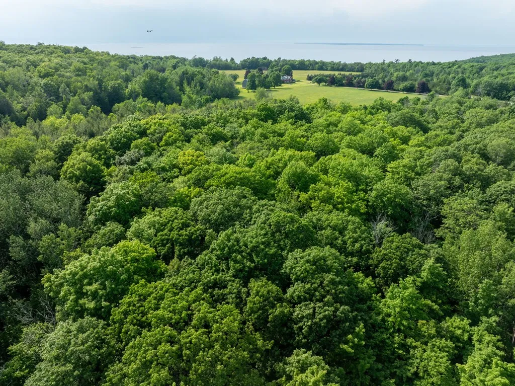 Lot 5 White Cliff Woods Ln, Fish Creek, Wisconsin 54212, ,Unimproved Land,For Sale,White Cliff Woods Ln,144175