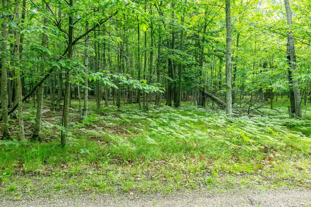 Lot 5 White Cliff Woods Ln, Fish Creek, Wisconsin 54212, ,Unimproved Land,For Sale,White Cliff Woods Ln,144175
