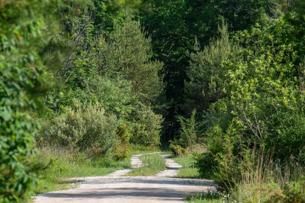Lot 5 White Cliff Woods Ln, Fish Creek, Wisconsin 54212, ,Unimproved Land,For Sale,White Cliff Woods Ln,144175