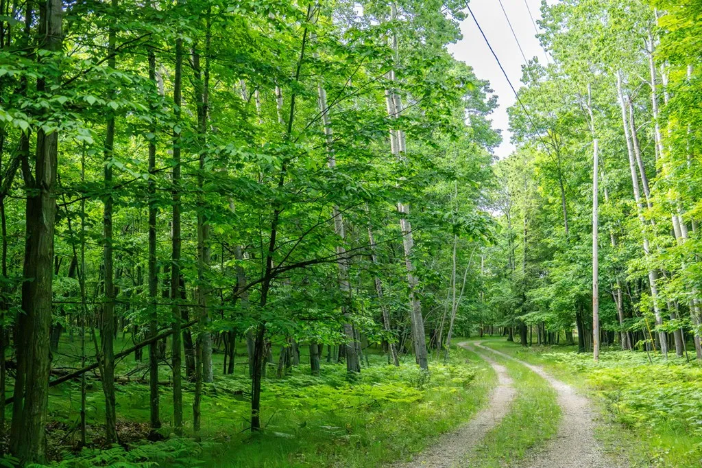 Lot 5 White Cliff Woods Ln, Fish Creek, Wisconsin 54212, ,Unimproved Land,For Sale,White Cliff Woods Ln,144175