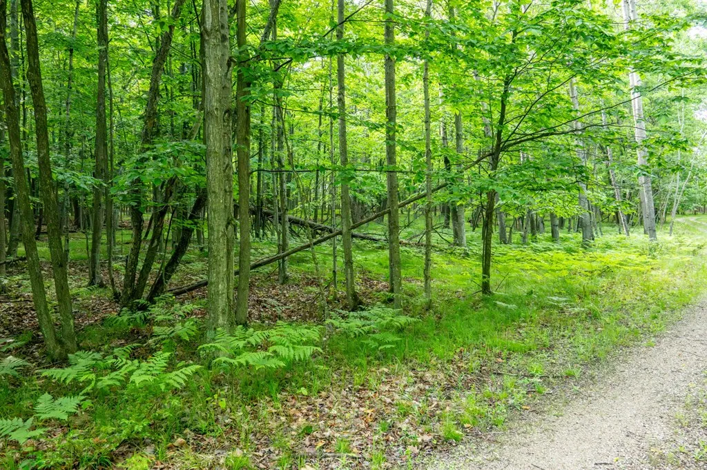 Lot 5 White Cliff Woods Ln, Fish Creek, Wisconsin 54212, ,Unimproved Land,For Sale,White Cliff Woods Ln,144175