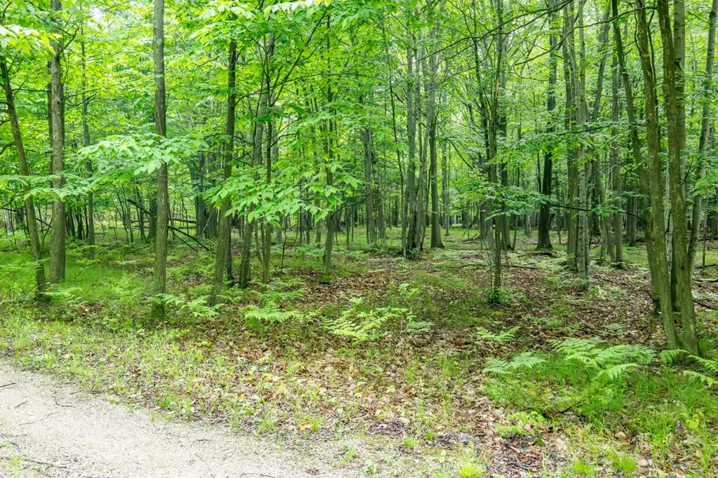 Lot 5 White Cliff Woods Ln, Fish Creek, Wisconsin 54212, ,Unimproved Land,For Sale,White Cliff Woods Ln,144175