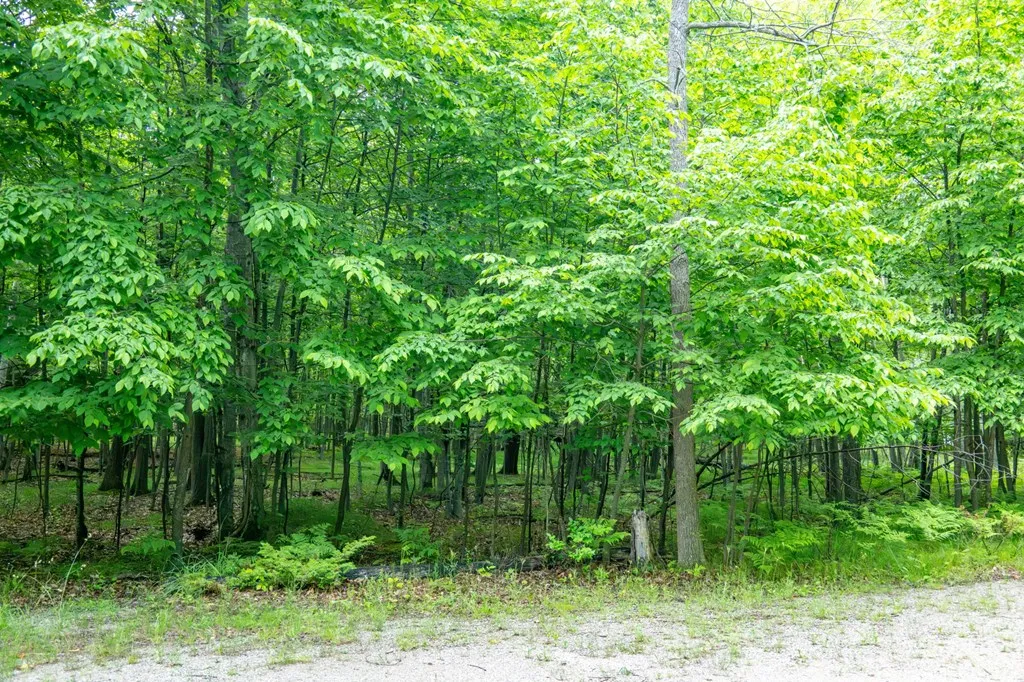 Lot 5 White Cliff Woods Ln, Fish Creek, Wisconsin 54212, ,Unimproved Land,For Sale,White Cliff Woods Ln,144175