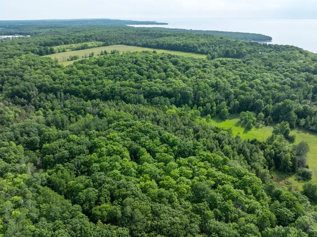 Lot 5 White Cliff Woods Ln, Fish Creek, Wisconsin 54212, ,Unimproved Land,For Sale,White Cliff Woods Ln,144175