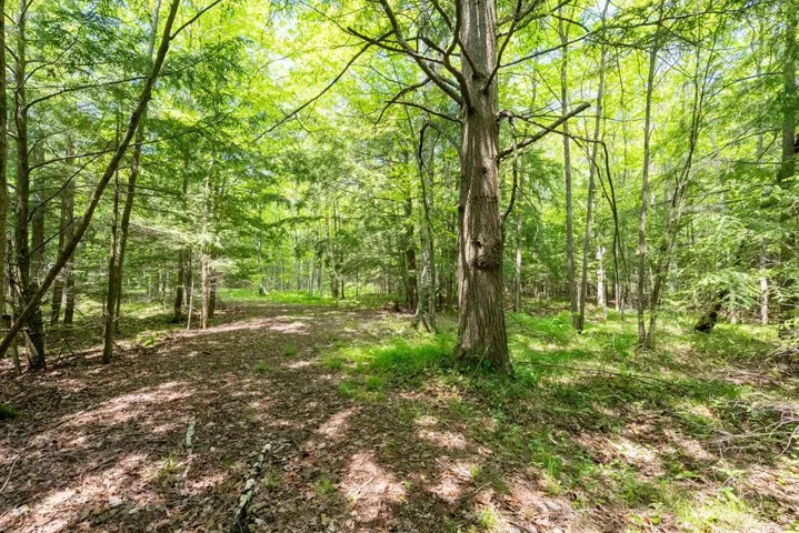 1016 N Berry Ln, Ellison Bay Wi 54210, ,Unimproved Land,For Sale,N Berry Ln,143598