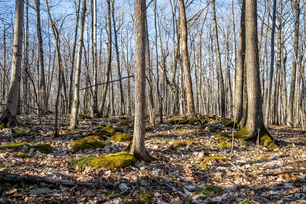 0 Linda Ln, Baileys Harbor Wi 54202, ,Unimproved Land,For Sale,Linda Ln,141493