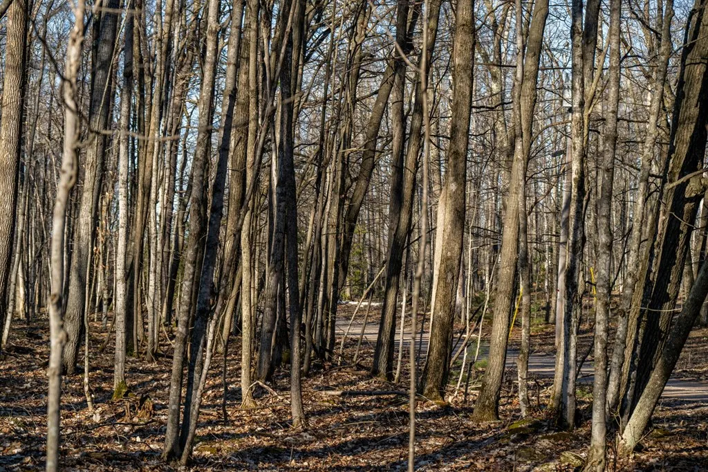 0 Linda Ln, Baileys Harbor Wi 54202, ,Unimproved Land,For Sale,Linda Ln,141493