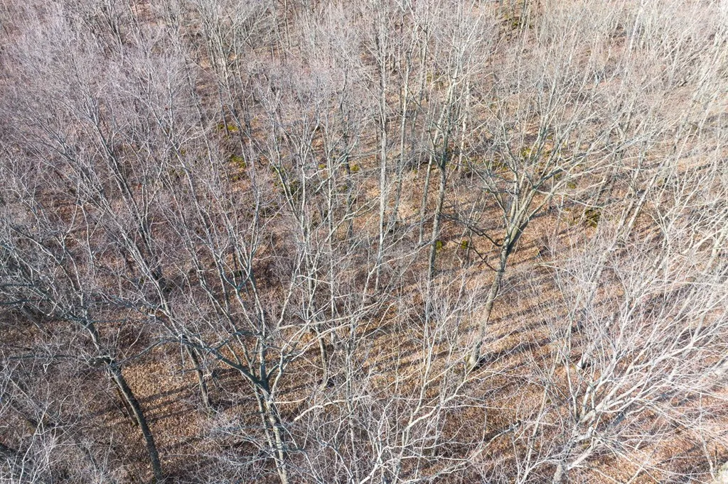 0 Linda Ln, Baileys Harbor Wi 54202, ,Unimproved Land,For Sale,Linda Ln,141493