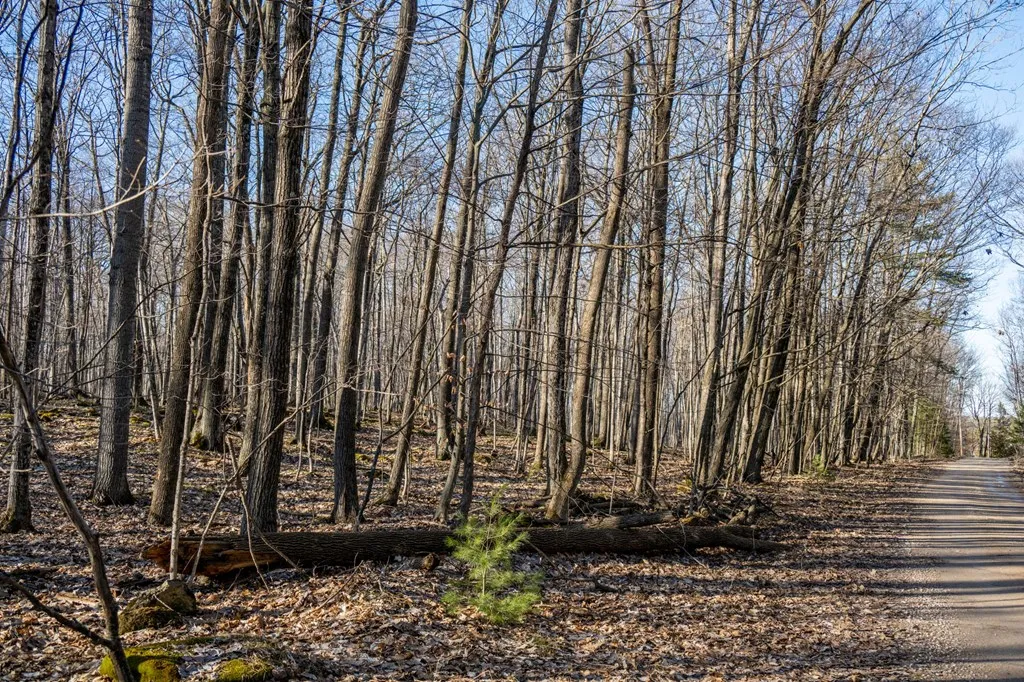 0 Linda Ln, Baileys Harbor Wi 54202, ,Unimproved Land,For Sale,Linda Ln,141493
