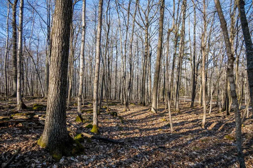 0 Linda Ln, Baileys Harbor Wi 54202, ,Unimproved Land,For Sale,Linda Ln,141493