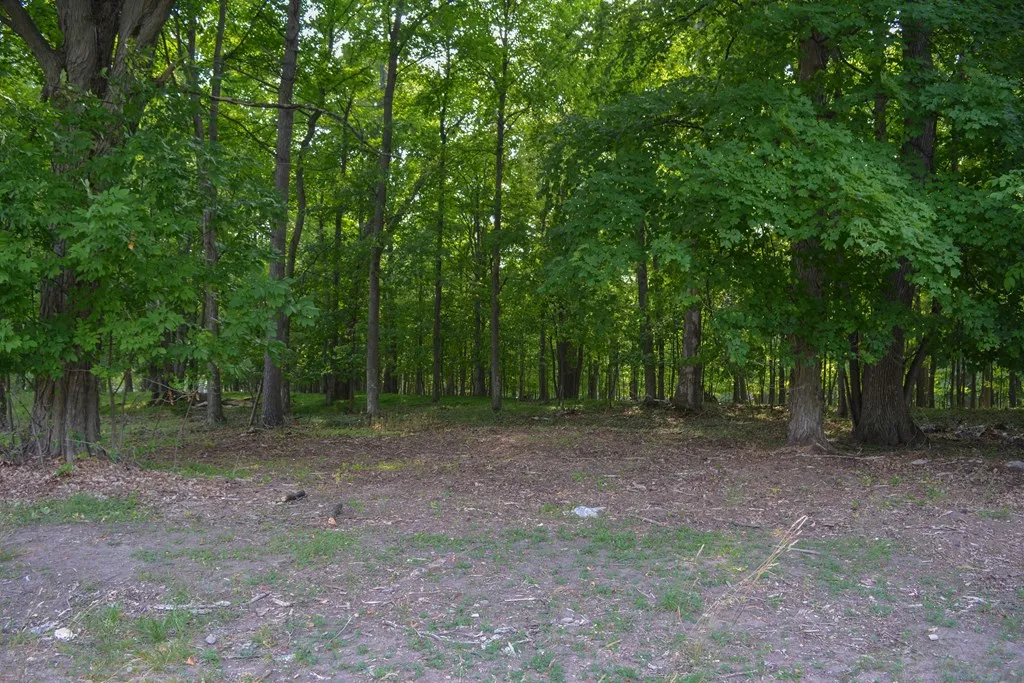 Lot #1* Horseshoe Bay Rd, Egg Harbor Wi 54209, ,Unimproved Land,For Sale,Horseshoe Bay Rd,141327