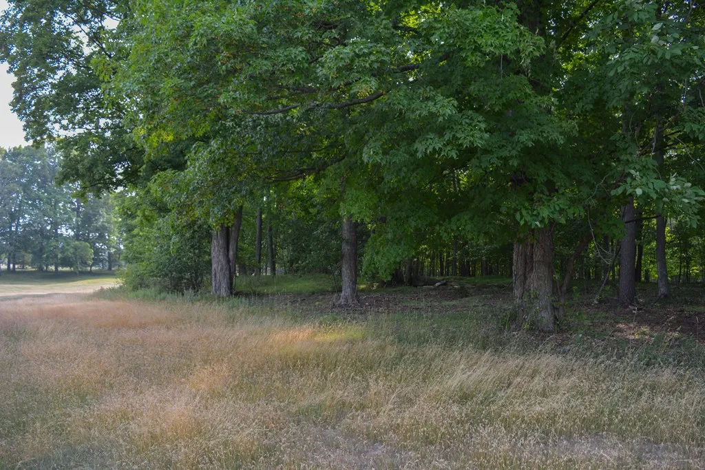 Lot #1* Horseshoe Bay Rd, Egg Harbor Wi 54209, ,Unimproved Land,For Sale,Horseshoe Bay Rd,141327