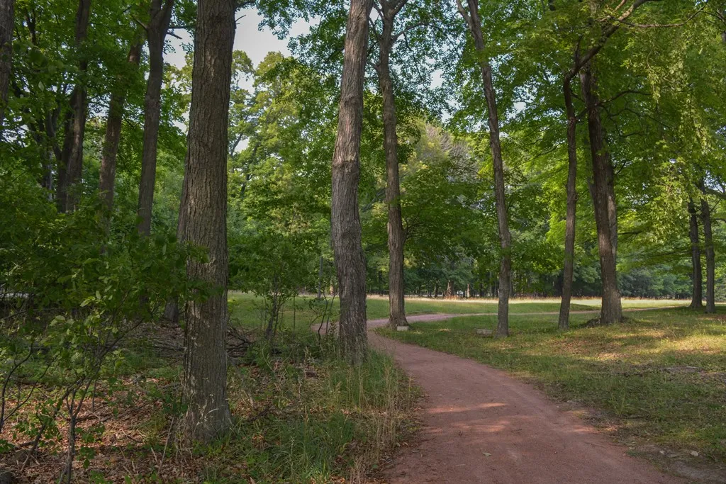 Lot #1* Horseshoe Bay Rd, Egg Harbor Wi 54209, ,Unimproved Land,For Sale,Horseshoe Bay Rd,141327