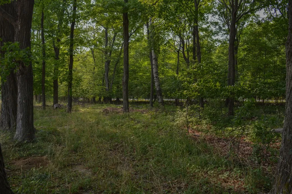 Lot #1* Horseshoe Bay Rd, Egg Harbor Wi 54209, ,Unimproved Land,For Sale,Horseshoe Bay Rd,141327