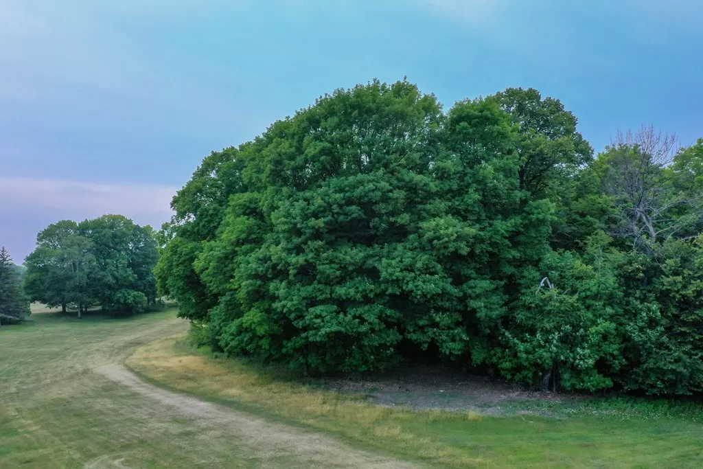 Lot #1* Horseshoe Bay Rd, Egg Harbor Wi 54209, ,Unimproved Land,For Sale,Horseshoe Bay Rd,141327