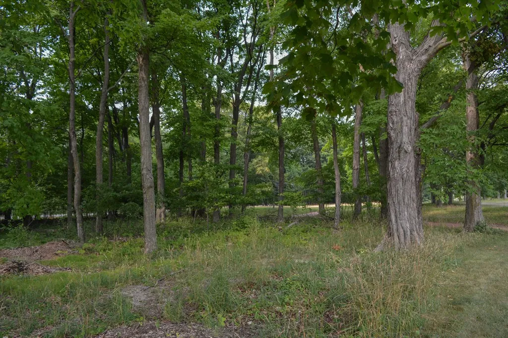 Lot #1* Horseshoe Bay Rd, Egg Harbor Wi 54209, ,Unimproved Land,For Sale,Horseshoe Bay Rd,141327