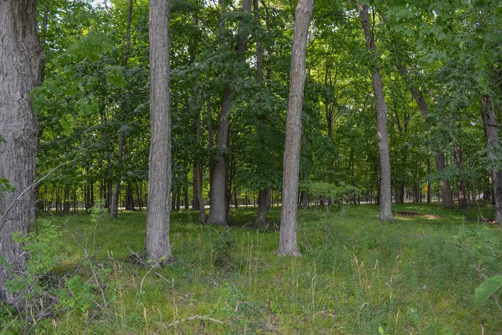 Lot #1* Horseshoe Bay Rd, Egg Harbor Wi 54209, ,Unimproved Land,For Sale,Horseshoe Bay Rd,141327