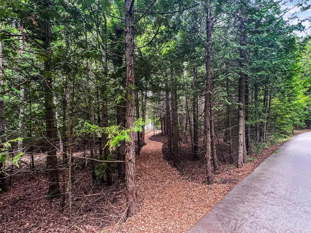 Peninsula Players Rd, Fish Creek, Wisconsin 54212, ,Unimproved Land,For Sale,Peninsula Players Rd,144018