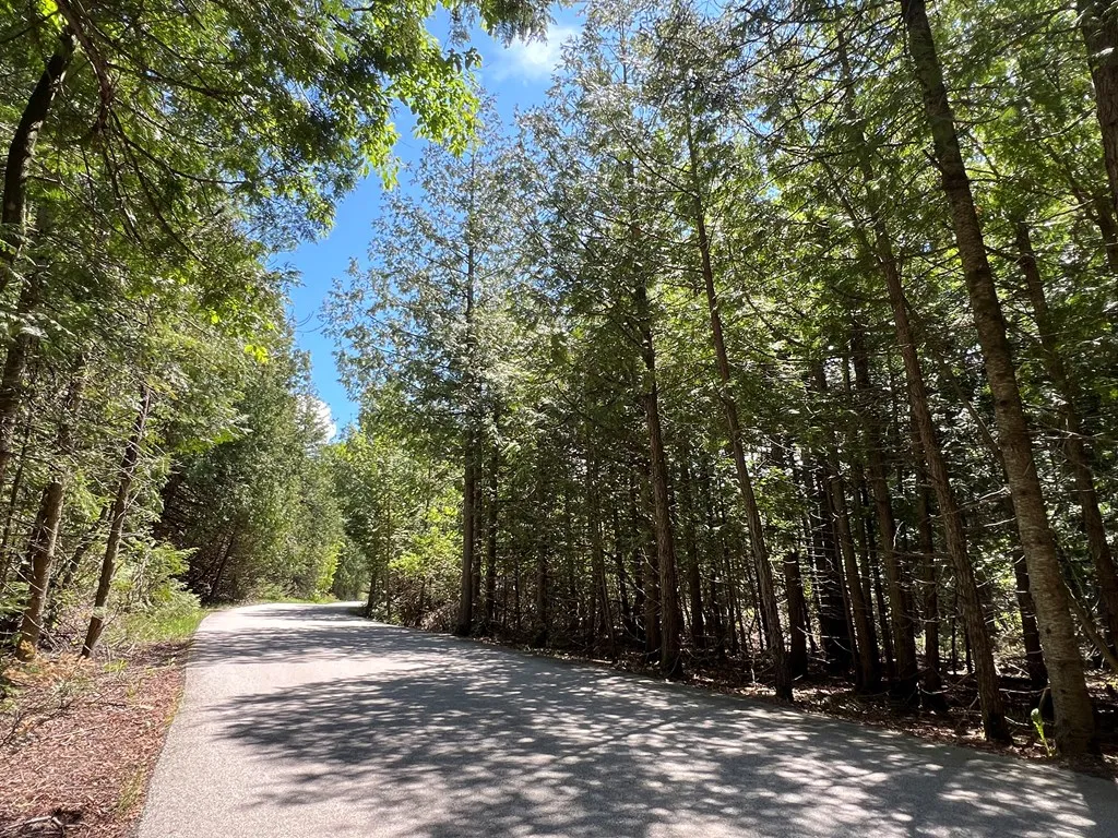 Peninsula Players Rd, Fish Creek, Wisconsin 54212, ,Unimproved Land,For Sale,Peninsula Players Rd,144018