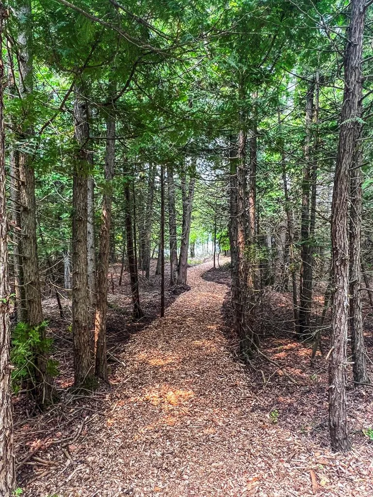 Peninsula Players Rd, Fish Creek, Wisconsin 54212, ,Unimproved Land,For Sale,Peninsula Players Rd,144018