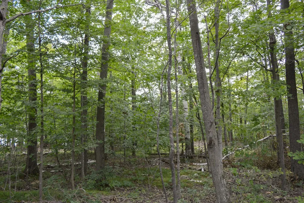 Lot 30 W Cortland Circle, Egg Harbor, Wisconsin 54209, ,Condominium,For Sale,W Cortland Circle,144481