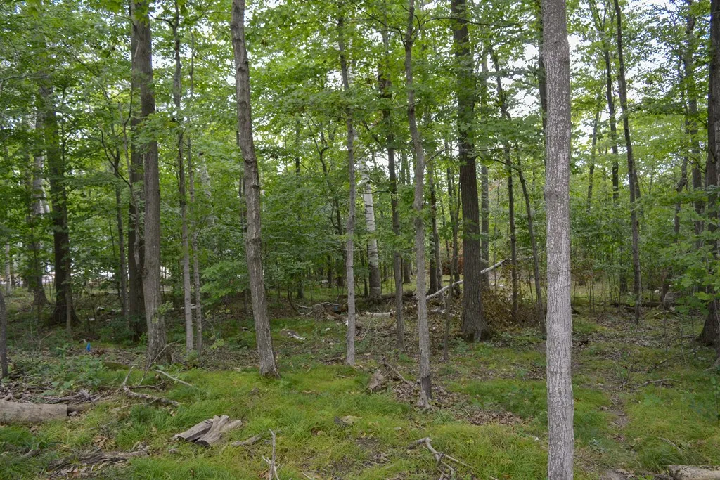 Lot 30 W Cortland Circle, Egg Harbor, Wisconsin 54209, ,Condominium,For Sale,W Cortland Circle,144481